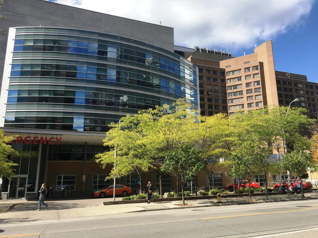 Canada Suites On Bay, Established 1998 Toronto Kültér fotó